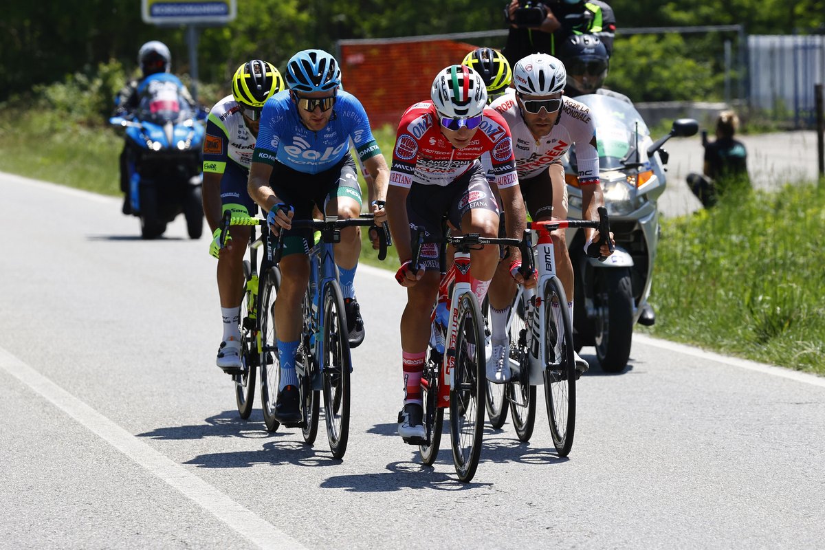 Carolyn Palmer tweet media