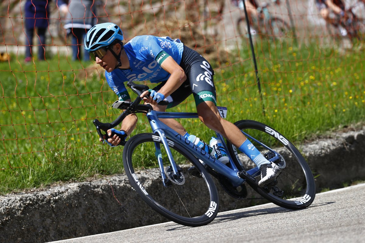 Carolyn Palmer tweet media