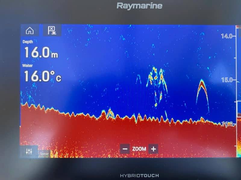 Raymarine's tweet photo. "Charlie asked me to go for a trip to hone in those minor adjustments, to set his new AXIOM 9 Pro sounder.
Here are some massive Winter Reds we found. Fantastic images straight out of the box, with some minor settings adjustments." @thebeardedfishermanaustralia #FishFinderFriday https://t.co/LKrqYgWUla