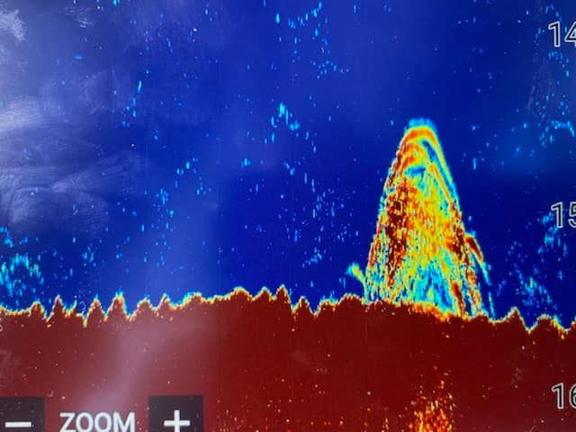 Raymarine's tweet photo. "Charlie asked me to go for a trip to hone in those minor adjustments, to set his new AXIOM 9 Pro sounder.
Here are some massive Winter Reds we found. Fantastic images straight out of the box, with some minor settings adjustments." @thebeardedfishermanaustralia #FishFinderFriday https://t.co/LKrqYgWUla