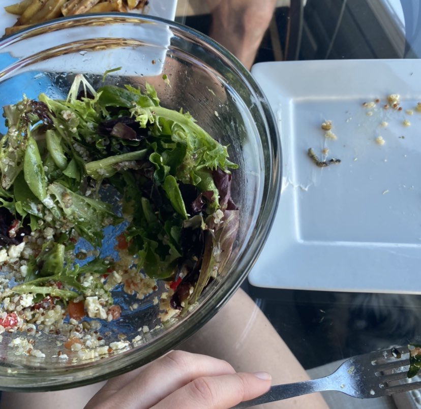 LRackk's tweet photo. Twice in the last month I’ve found caterpillars in my salad mid dinner. Are you sure your lettuce mix is triple washed @earthboundfarm ? #gross https://t.co/IDREoLWlPy