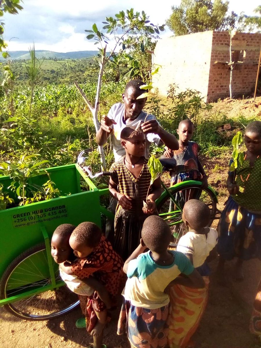 coopafrica's tweet photo. Our #treecycle in action in Uganda. For every bicycle we distribute to students, health volunteers, farmers and small entrepreneurs in Uganda we plant 10 trees. #onebiketentrees #abikemakesthedifference #treeplanting #foodsecurity #biodiversity #climateaction #bicycle https://t.co/q7f71WJl4j