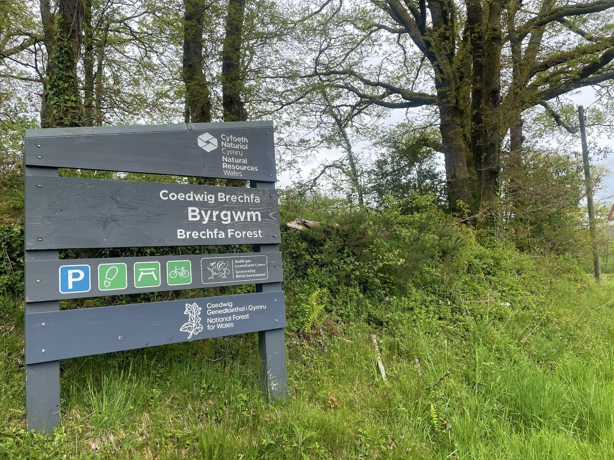 The Cambrian Mountains ❤️🏴󠁧󠁢󠁷󠁬󠁳󠁿⛰✨ tweet media