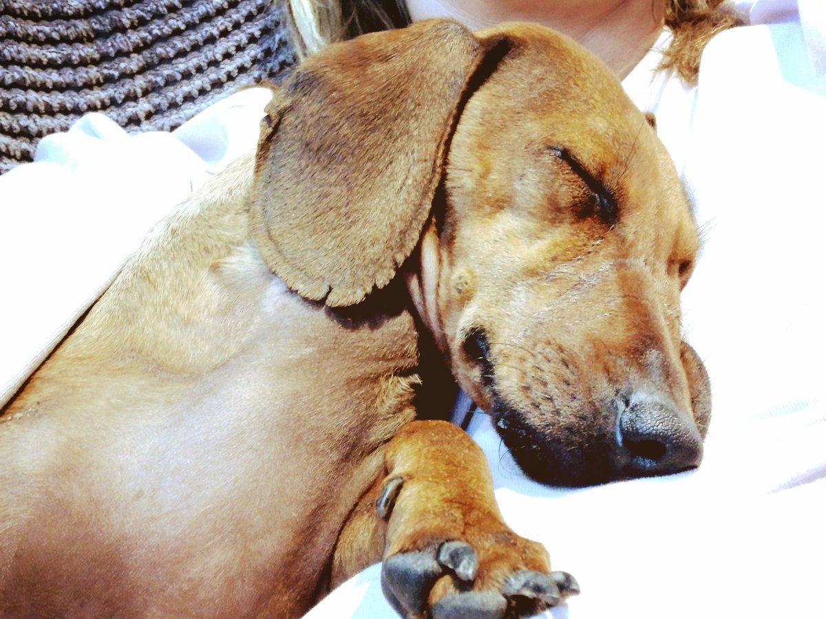 That was a mighty day filled with so many emotions. Luckily this guy is always on hand for a cheering up cuddle.