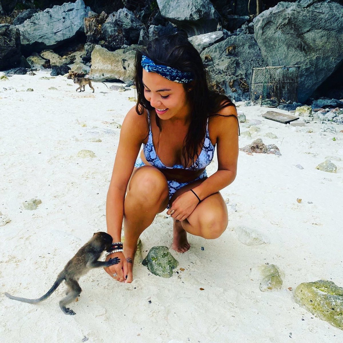 SDStateAbroad's tweet photo. Happy Friday, Jackrabbits! We hope you have the chance to monkey around this weekend! 
#Thailand #monkey #studyabroad https://t.co/mt0JiN63UX