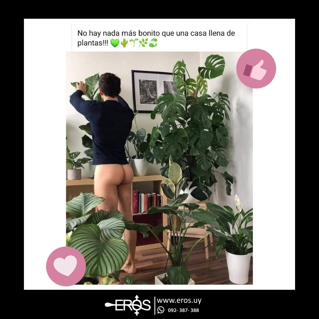 erosuy's tweet photo. COSA BONITA, COSA BIEN HECHA.. ESAS PLANTAS NO SE VAN REGAR SOLAS. 🤣🙈

FELIZ VIERNES!!! 🤩

#chistes #sexshopuy #uruguay #erosuy #montevideo #sensualstore #Puntadeleste #plantas #chiste #meme #body #weekend #havefun https://t.co/rYNf3itkWe