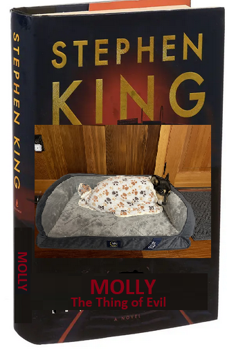 oldham_wesley's tweet photo. @StephenKing When can we expect the book, Mr. King? https://t.co/53o89PBFTC