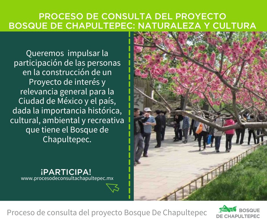 PorChapultepec's tweet photo. #FelizMiércoles 🌈🌞
Tu opinión es muy importante.
El proceso de consulta Bosque de Chapultepec: Naturaleza y Cultura,🌳🦗  tiene como principal objetivo obtener información sobre las percepciones que tiene la ciudadanía sobre el Proyecto.

https://t.co/P3UrF87mTQ https://t.co/BUTaYQkrAQ