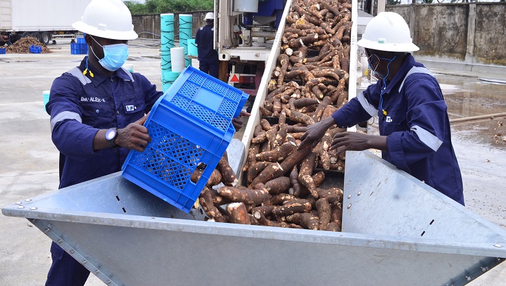 Shell_Nigeria's tweet photo. 📈 Increased #revenue
👷 #Job creation
Discover how @Shell_Nigeria supports Rivers State to build its #economy &amp; increase employment with a 💰 multi-billion-naira #cassava processing company.  https://t.co/zuNT3utNs6 https://t.co/A34qp6UDNK