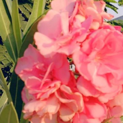 NoooAdR's tweet photo. #صورة_جديدة_للملف_الشخصي https://t.co/unLYXBxjMJ