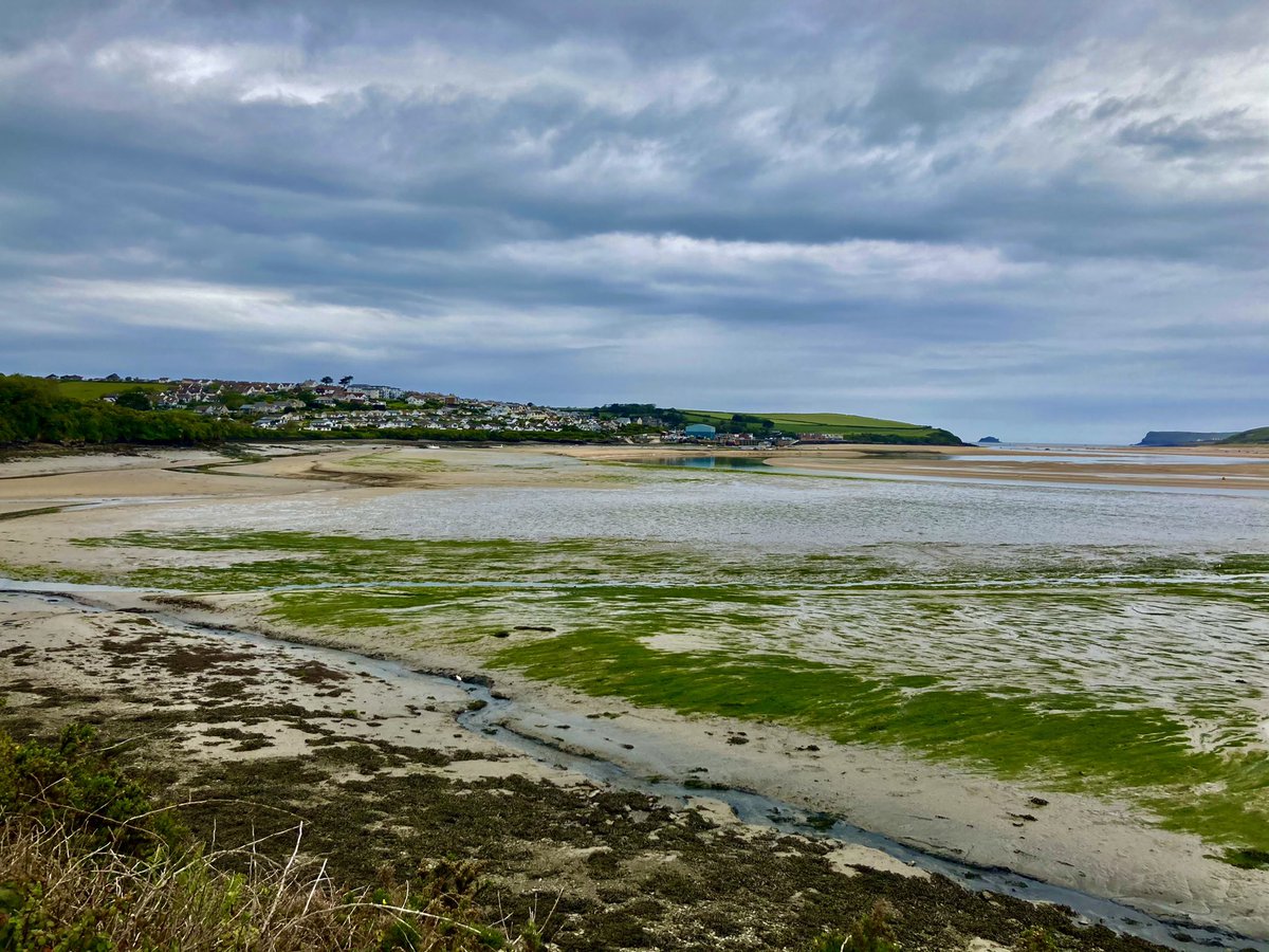 PeteWhite999's tweet photo. Last full day in #Padstow & a nice long walk along the #CamelTrail enjoying the scenery. Once back in the harbour time for a well deserved pint of the local brew #Doombar in the @TheOldShipHotel π #Holidays #RollOnNextTime https://t.co/vrUe9QcMXV