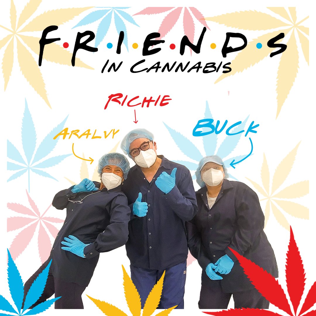 hgcanna's tweet photo. Best part of the cannabis industry? The people. 

Meet the self-proclaimed "Old People Squad!"
 Famous in the grow for their humor and energy, these seasoned professionals might play life fast and loose, but they'll roll your joints just right.

 #MICannabisindustry https://t.co/ZiIq8LNvB7
