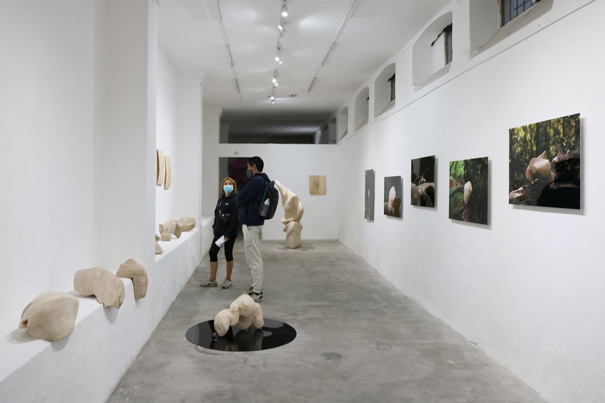 [𝙉𝙤𝙚𝙩𝙞𝙘 🌱📌 - Dia Muñoz ] Visita guiada a la exposición este sabado de 15-18h - mailchi.mp/77da242bd08e/n…