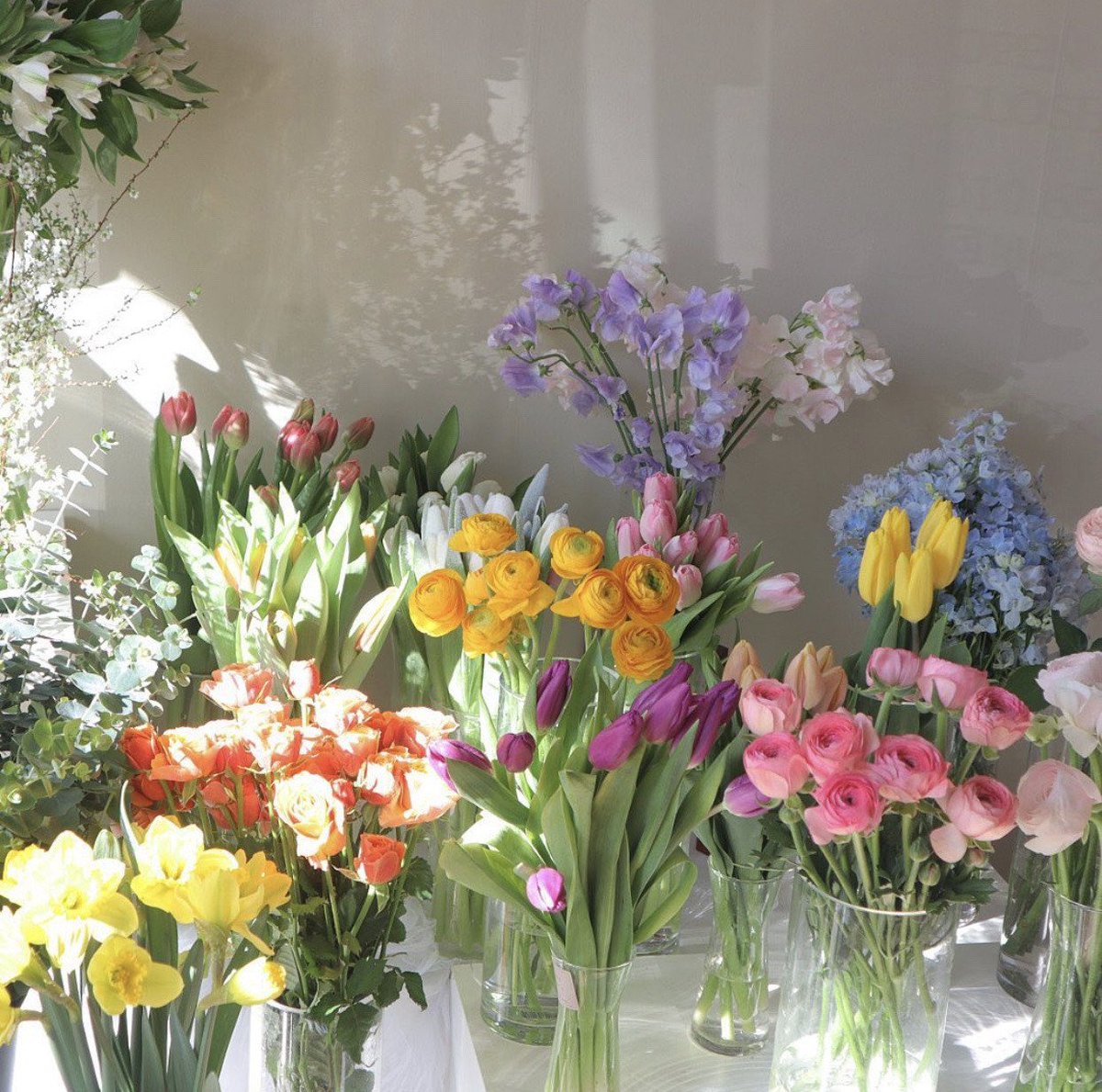 bouquets of fresh flowers>>>
