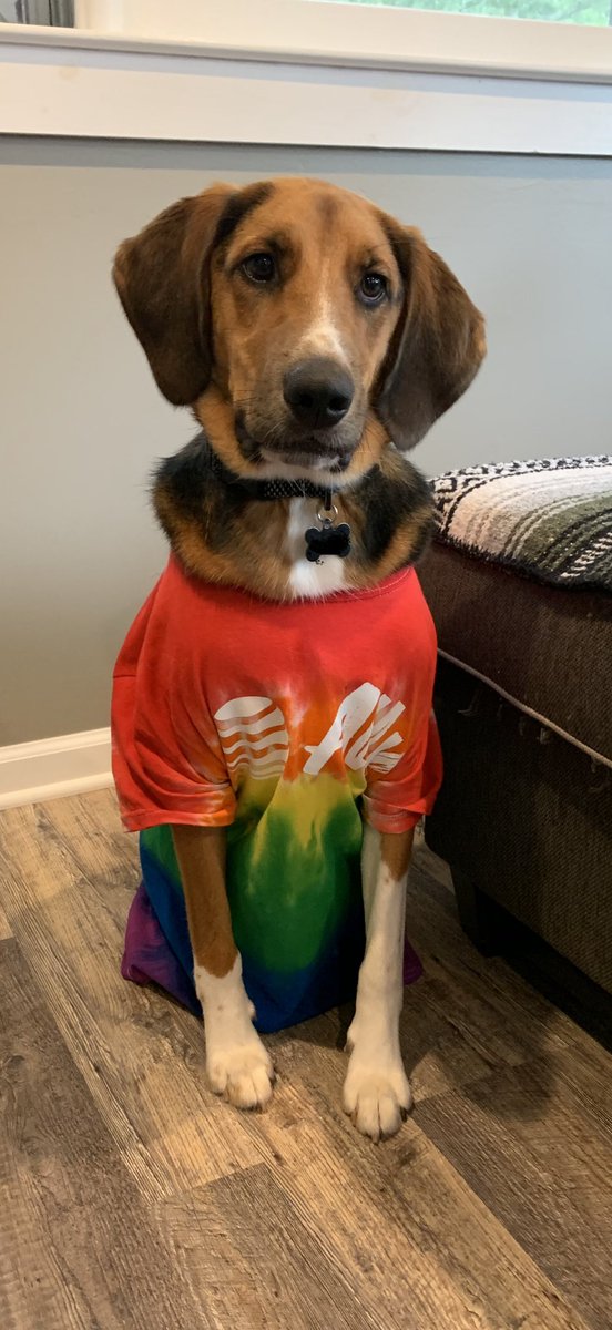 MountainToCoast (@mtc_mss) on Twitter photo “Here’s one of our favorite t-shirts!” <a href="/R_Prager/">Ross Prager</a> has his pup modeling it for us. <a href="/Valerie_m_cando/">Valerie M</a> <a href="/carawfields/">Cara Fields</a> #2xBetter #lifeatatt #spiritweek “Here’s one of our favorite t-shirts!” <a href="/R_Prager/">Ross Prager</a> has his pup modeling it for us. <a href="/Valerie_m_cando/">Valerie M</a> <a href="/carawfields/">Cara Fields</a> #2xBetter #lifeatatt #spiritweek