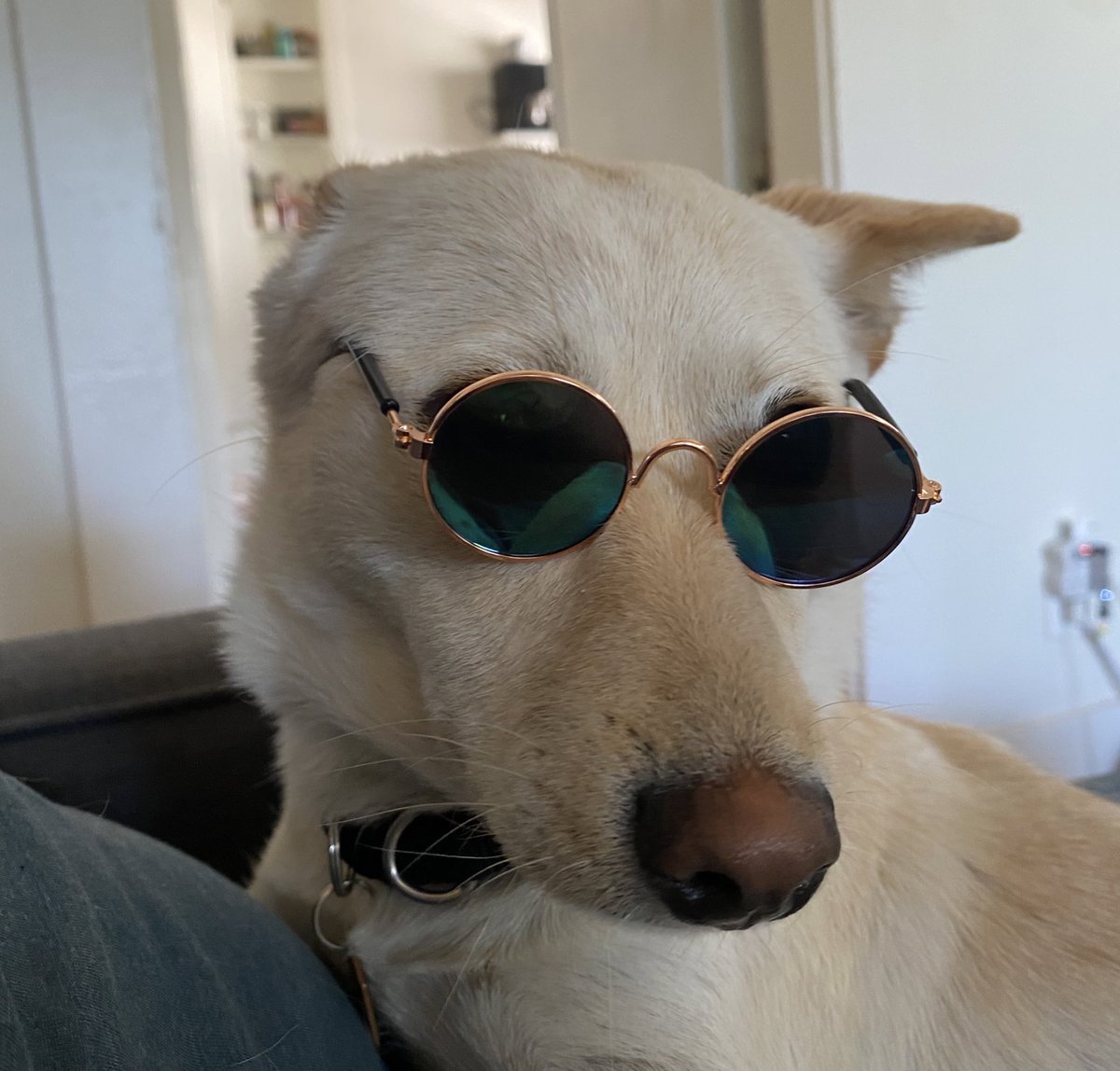 Josie F. Badman tweet media