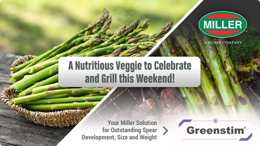 MillerChemical's tweet photo. Whether you plan to enjoy as an #appetizer or pair with an #entrée, perhaps a healthy dose of delicious #asparagus will find its way on your table this weekend. #NationalAsparagusMonth #veggies #nutrition #farming #Greenstim #MillerChemical https://t.co/hr4cj01Xdk