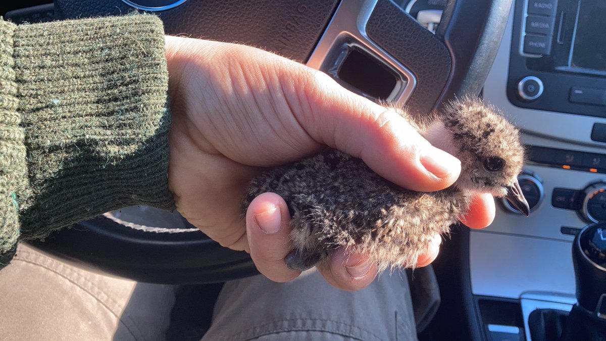 Sander Veenstra tweet media