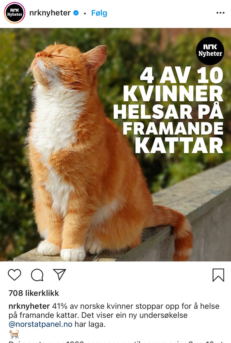 JohanLabee tweet picture