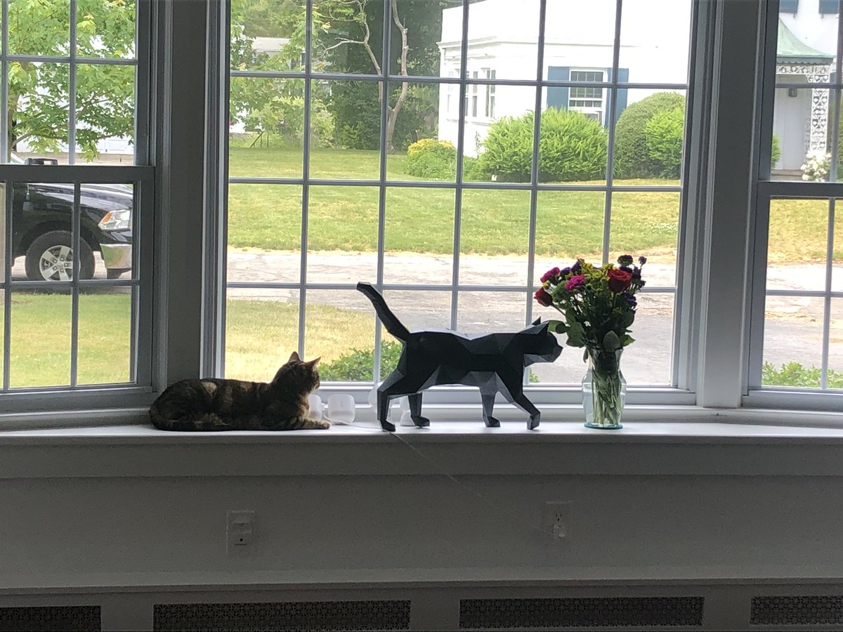 BrianKlingborg's tweet image. #CatsOfTwitter #WhichIsReal #impostersyndrome