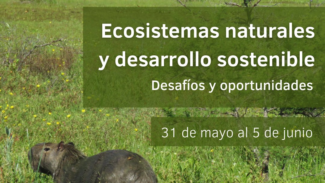 El próximo lunes comienzan las jornadas anuales por el Día mundial del Ambiente, organizadas por la Comisión de Estudios de Problemáticas Ambientales (CEPA) de nuestra institución 🌿

🙌🏼 Toda la información en bit.ly/SemanaAmbienta… (las inscripciones finalizan el domingo 30/05)
