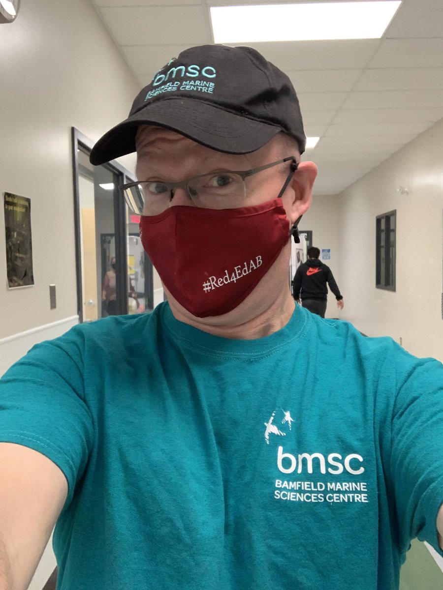scimann's tweet photo. #TodaysT includes a hat from @BamfieldMSC! We were fortunate enough to take part in a virtual field trip! @CSIchar @Daydreams888 @arllennium @Beebuzzers https://t.co/Y8XCs2cHYo