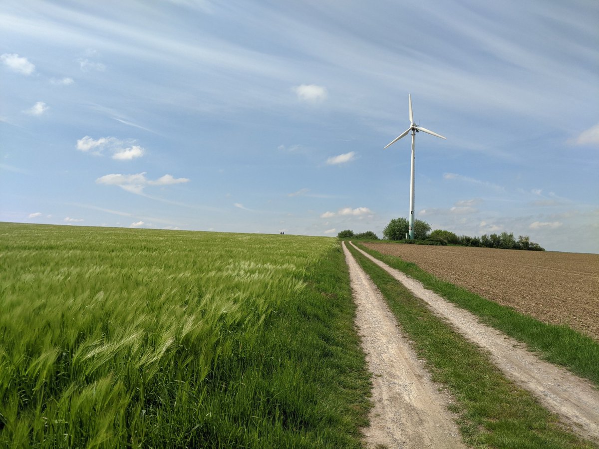 Today was the last day of my field study and we were finally blessed with sunshine! ☀️ Now it feels like May #phdlife #AcademicChatter