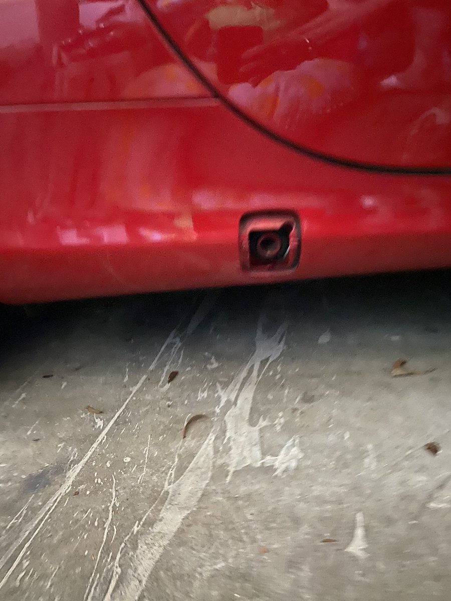 yiengyiang's tweet photo. Shout out to #RobetsCollision in Clearwater. Had a little incident and needed a part painted. They did me a huge favor and an amazing job! https://t.co/fzJO8zV5PF