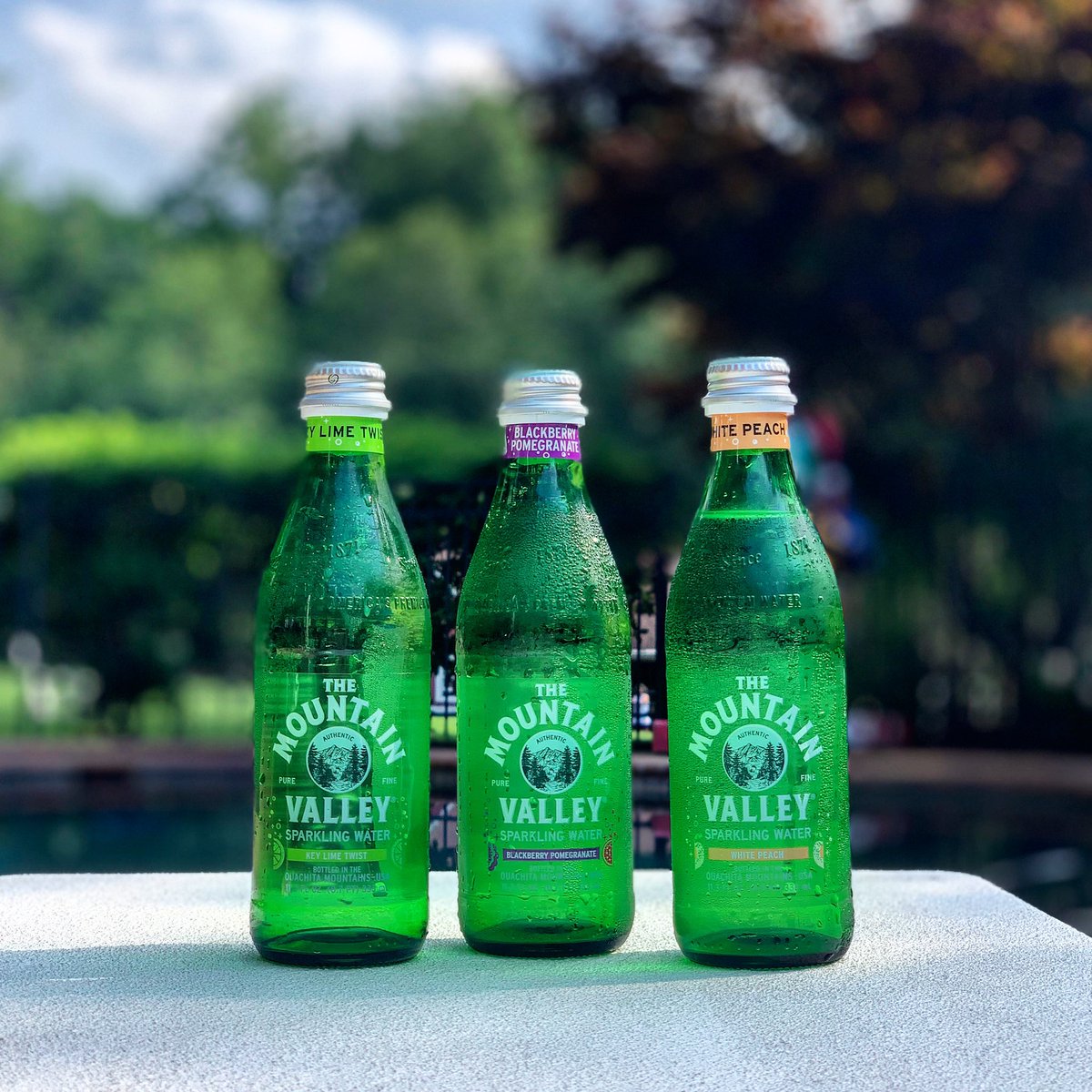 MVMidAtlantic's tweet image. Springing into summer like 💚💦
We’re poolside ready for all your hydration needs ☀️💧#mountainvalleyspringwater #mtnvalleymidatlantic