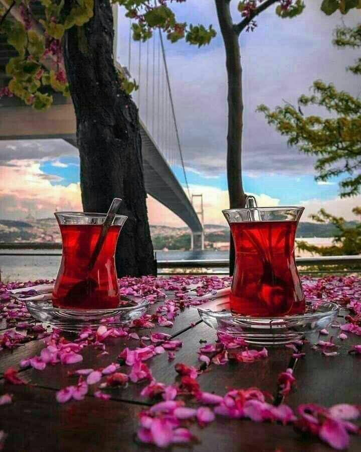 bhn_1234's tweet photo. "
"
"

*العلاقات البشرية تمر بثلاث مراحل*
*المجاملة ثم...*
*اكتشاف الحقيقة ثم...*
*القرار ب.الاستمرار أو اﻻبتعاد.!!؟؟ https://t.co/XbaTTD4MPo