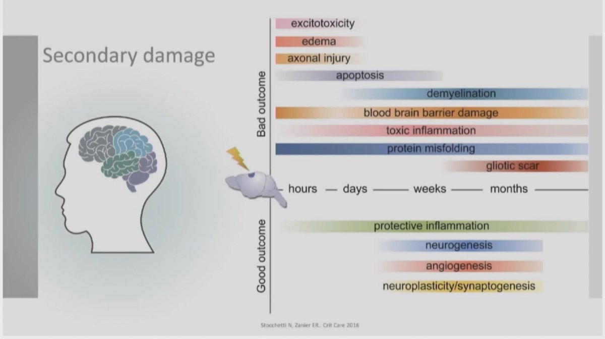 FOAMecmo's tweet photo. Optimize brain recovery post CA vs 
🧠 primary damage at CA, injury depending on (low/no flow) times
🧠 secondary damage starts soon after CA, impacting on outcome 
🧠 neuroprotection required!
 @ERC_resus @ESICM post #resus guidelines https://t.co/EhWSlb3QnV
@Dr_Cit #eSMART2021 https://t.co/YN8UVgDowL