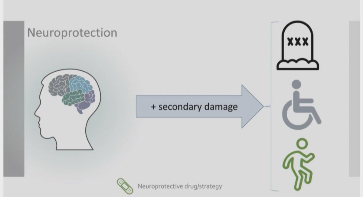 FOAMecmo's tweet photo. Optimize brain recovery post CA vs 
🧠 primary damage at CA, injury depending on (low/no flow) times
🧠 secondary damage starts soon after CA, impacting on outcome 
🧠 neuroprotection required!
 @ERC_resus @ESICM post #resus guidelines https://t.co/EhWSlb3QnV
@Dr_Cit #eSMART2021 https://t.co/YN8UVgDowL