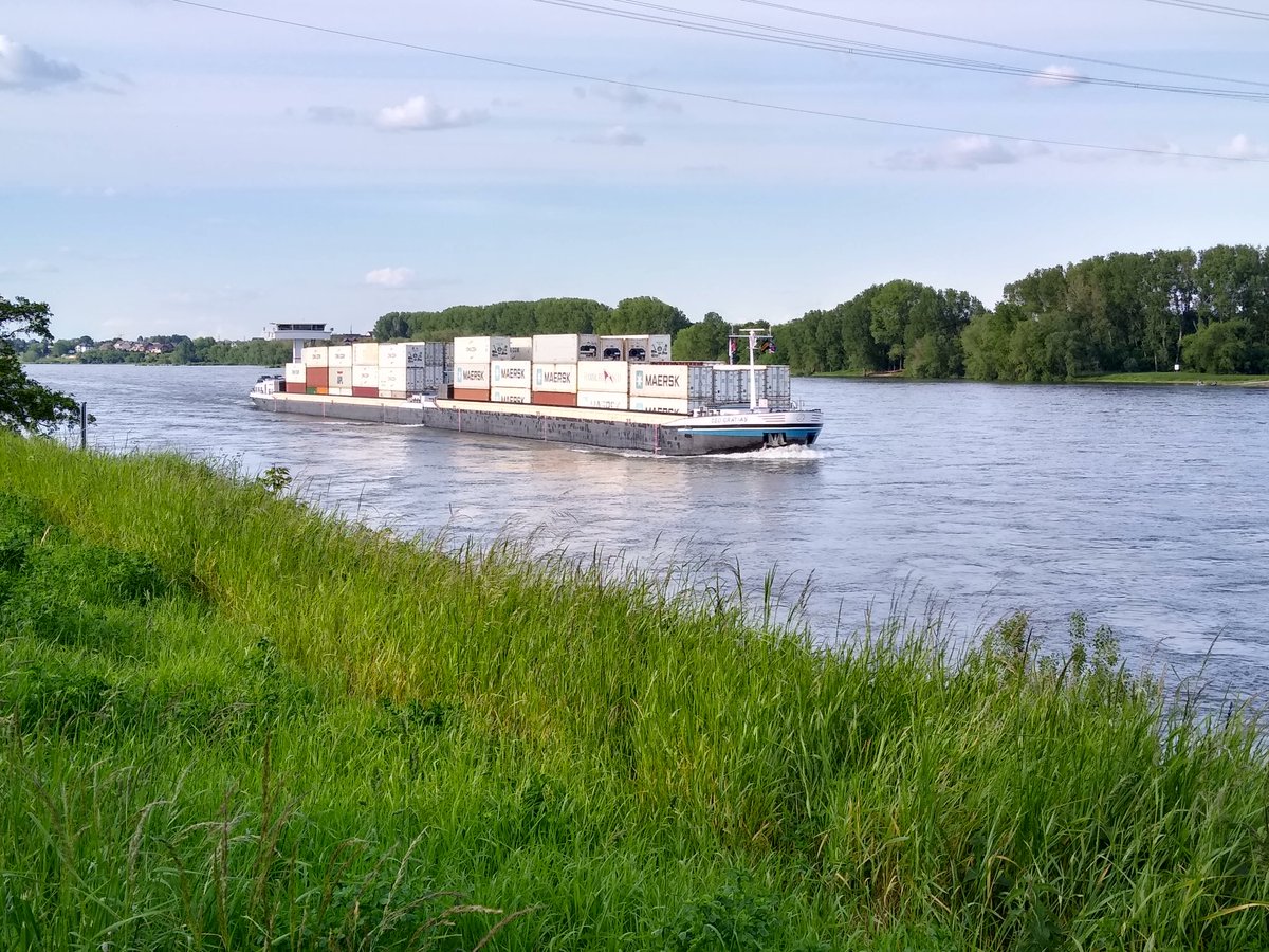 Rheinpegel's tweet photo. Hallo #Deo #Gratias #Schiff #Rhein #Widdig https://t.co/XRBAXYFTTF