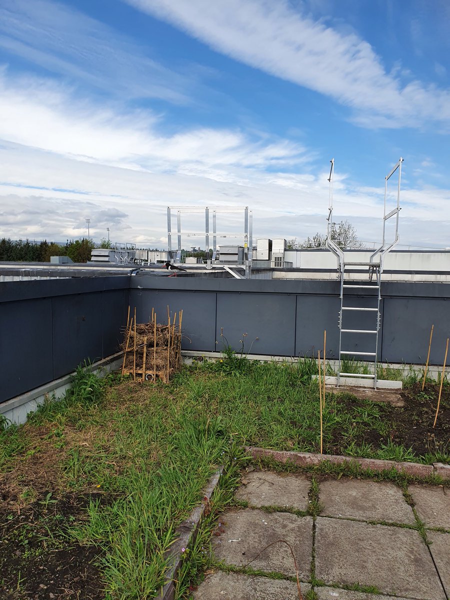 OnTheRoof tweet media
