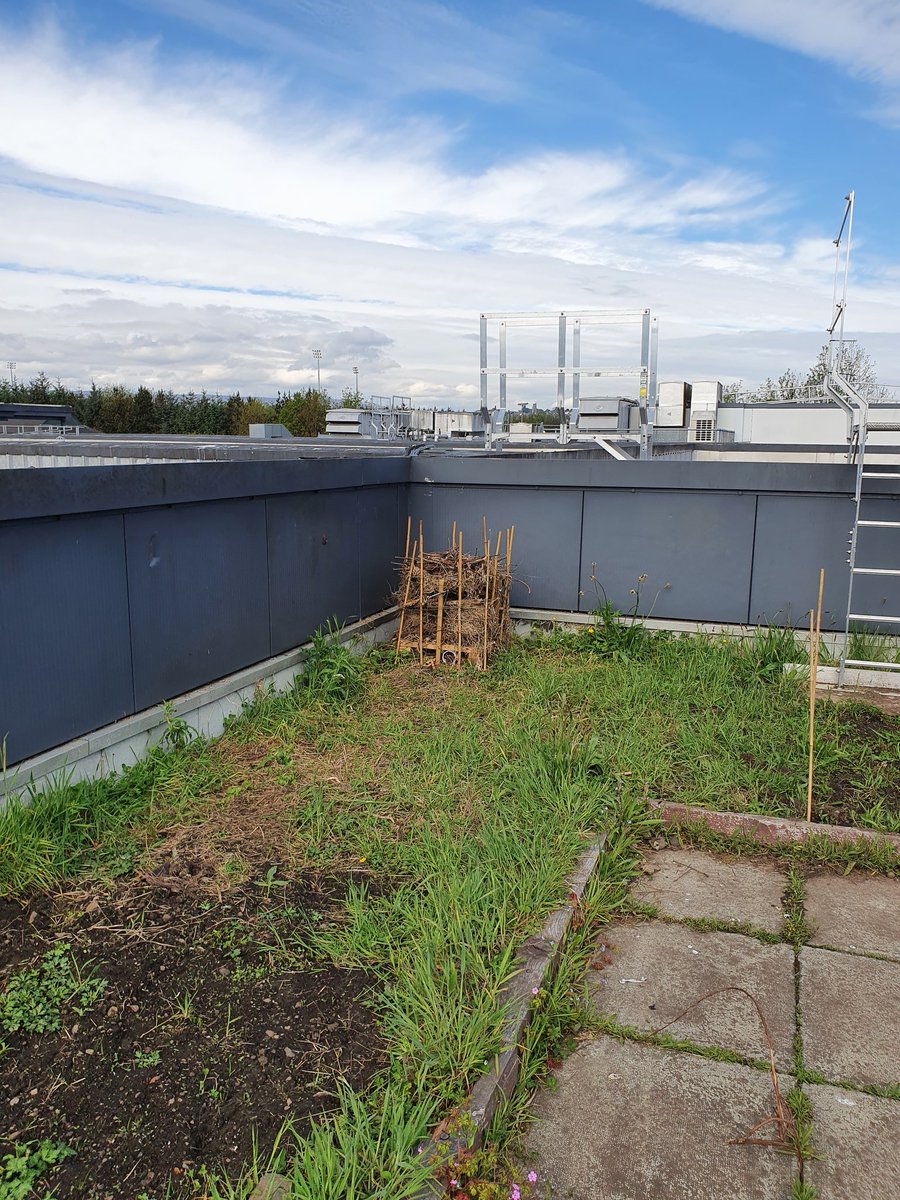 OnTheRoof tweet media