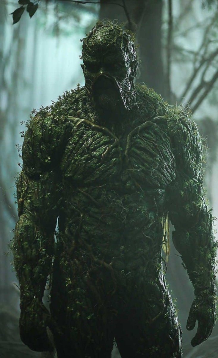 10Waseem's tweet photo. #SaveSwampThing https://t.co/idQGhEhYu6
