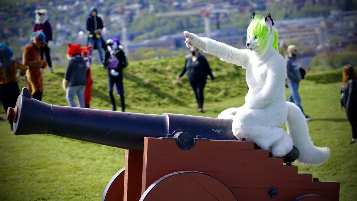 UsagiPhoto's tweet photo. Snowcat is going to catwar meow meow 🐾 @SarahLynx

#FursuitFriday https://t.co/oPEeBIiiqv