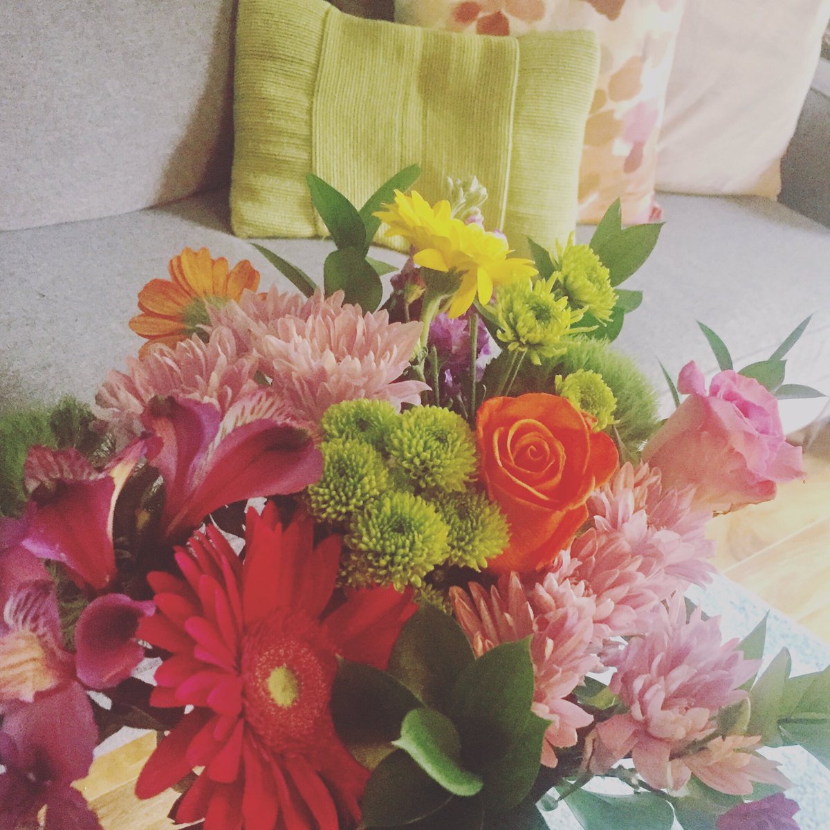 Lisa Wright tweet media