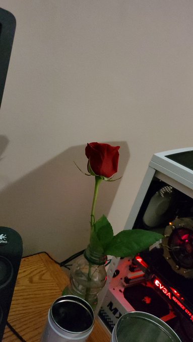 Reminder folks. Random cute shot for your partner keeps those thighs happy https://t.co/uIbZf5ZXZo