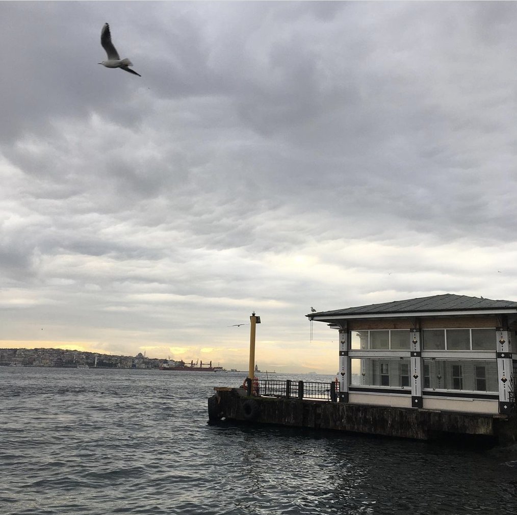 Yabancı_Straniera tweet media