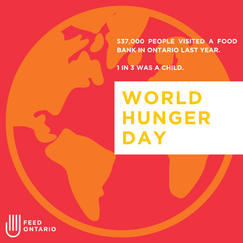 FeedOntario's tweet photo. On this World Hunger Day, we remind our communities that it is only through collective action and effective change that we can eradicate hunger in Ontario.
To learn about how you can fight hunger in your community, visit: https://t.co/O1cSCQVWJi
#WorldHungerDay #Foodbanks https://t.co/97ZCRdxmPK
