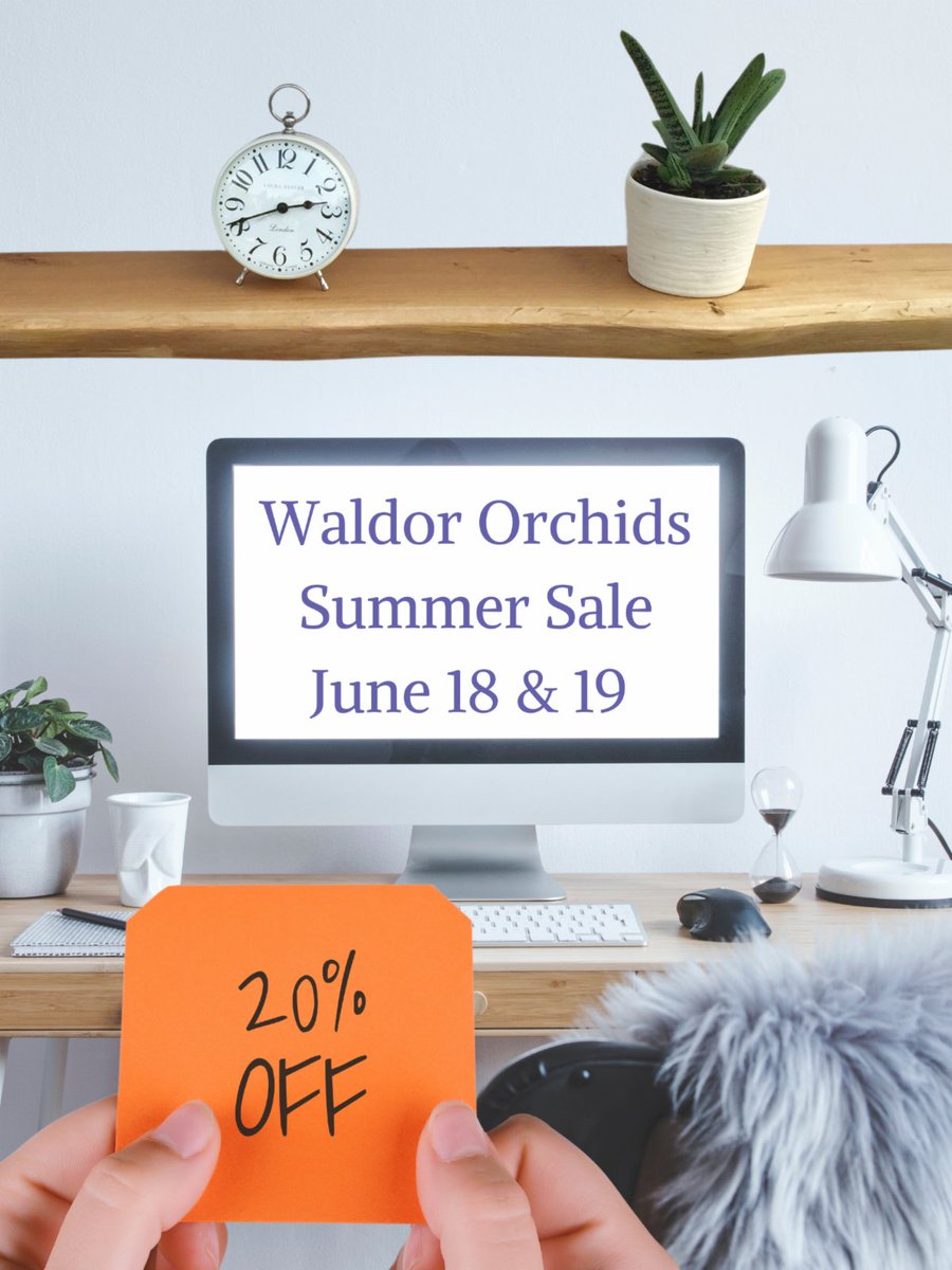 Orchidnerd's tweet photo. Want to save 20%? https://t.co/PimMgBrsUb https://t.co/JVWEktPfbS