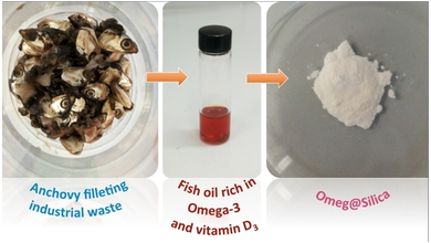 ChemistryOpen's tweet photo. Check out the latest work of our Board Member M. Pagliaro @helionomics and co-workers reporting on Omeg@Silica: entrapment and stabilization of sustainably sourced fish oil #OpenCollections https://t.co/IFcbfmZG2i https://t.co/vxOB92uJj3