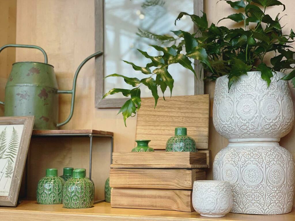 Loving the look of these textured plant pots! Show us your favorite plant pot! #indoorplants #houseplants #houseplantsmakemehappy #pottery #whitepottery #greenyourspace #plantlove #plantstyling #indoorplantstyling #homedecor