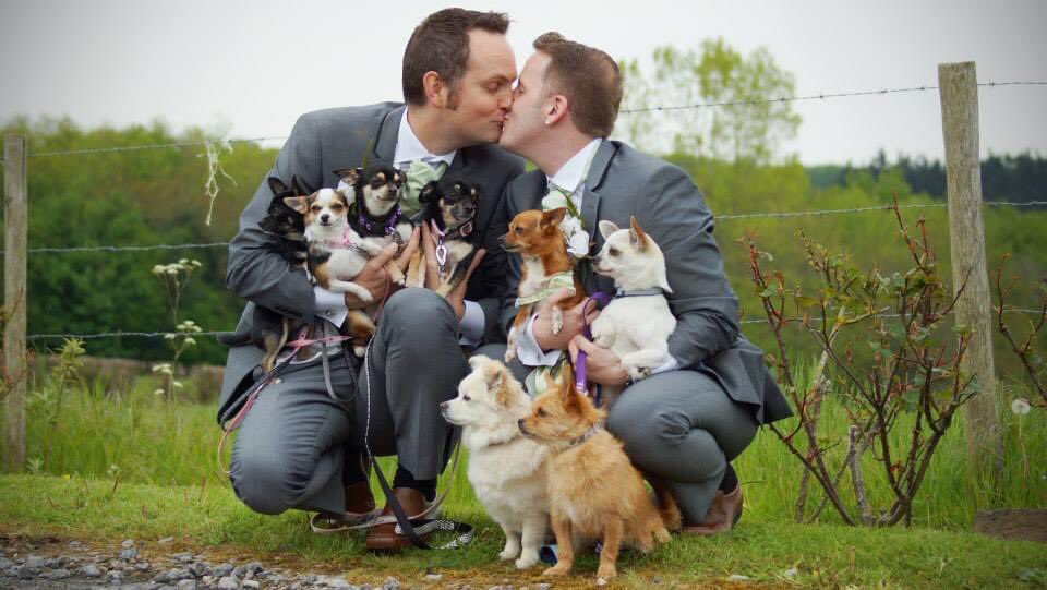 W15_DAN's tweet image. My husband and I on our wedding day which was so bloody awful... 16 years of unhappiness together 😭