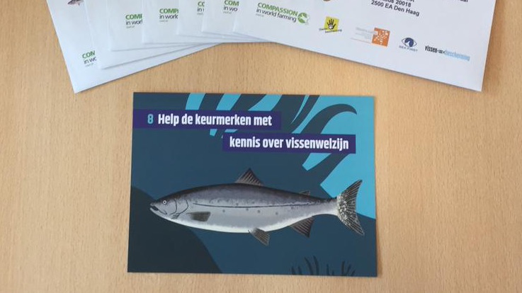 Dierbescherming's tweet image. #VissenVrijdag Help de keurmerken met kennis over vissenwelzijn bit.ly/3e81cgT.

Dierenwelzijn is nog geen onderdeel van bestaande internationale keurmerken zoals MSC en ASC. Toch blijkt dat zij daar wel voor openstaan. We verzoeken de overheid hen daarbij te helpen