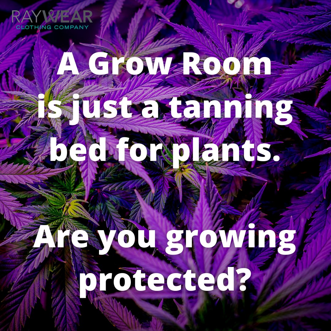 RayWearCC's tweet photo. Light radiation is amazing for plants...not so great for the grower next to them. Are you protected while you grow?
#raywearcc #lightradiationprotection #growgear #protectgrowers #protectcannabis https://t.co/3M34nScmzT