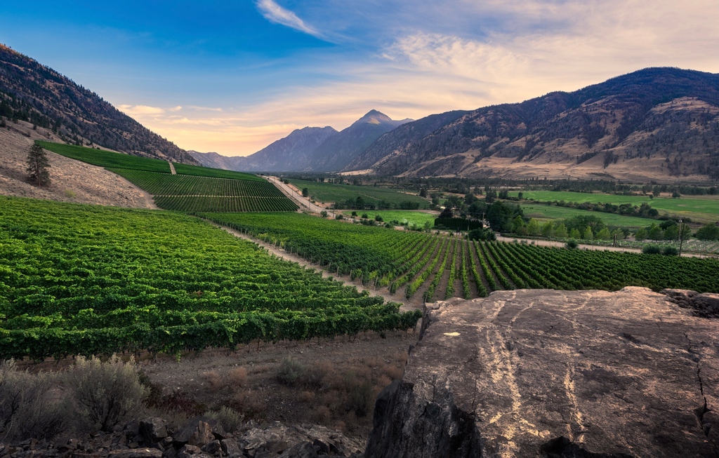 Maybe not today...or tomorrow, but sometime soon, when it is safe, we hope to welcome you back to @vanessavnyrd and our #TastingRoom. 
*
Who's planning a #BCRoadTrip this #summer? 
*
#TourismWeek #BCTourismCounts #TourismCounts
#vanessavineyard #VVwines #BCwine #BCharvest