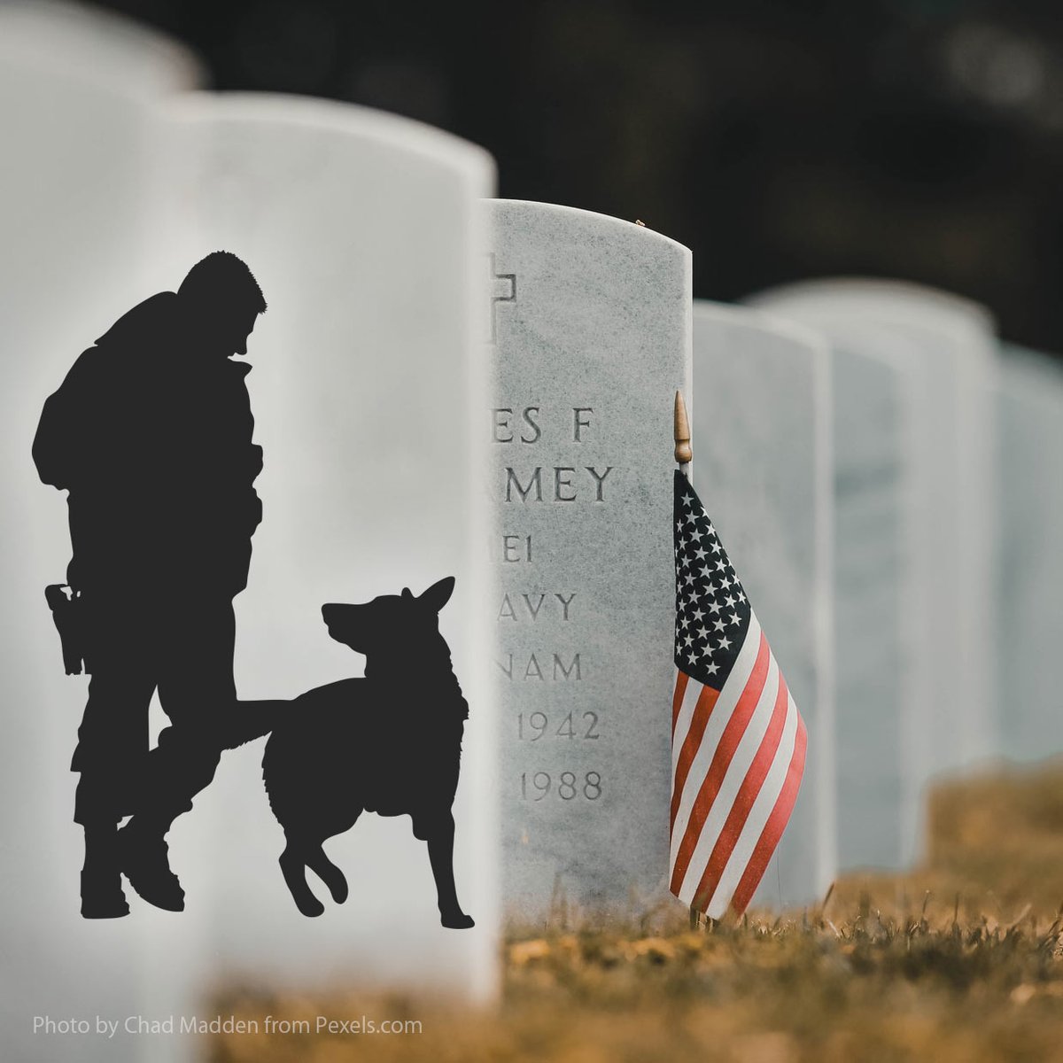 furryfriends's tweet photo. Remember our heroes...Memorial Day is a time to honor our fallen heroes, both people and canines, who have lost their lives to defend our freedom. Thank you for your courage, honor, dedication and ultimate sacrifice.
#MemorialDay #K9 #Hero #MemorialDay2021 #MemorialDayDogs https://t.co/exXcYqbwLK
