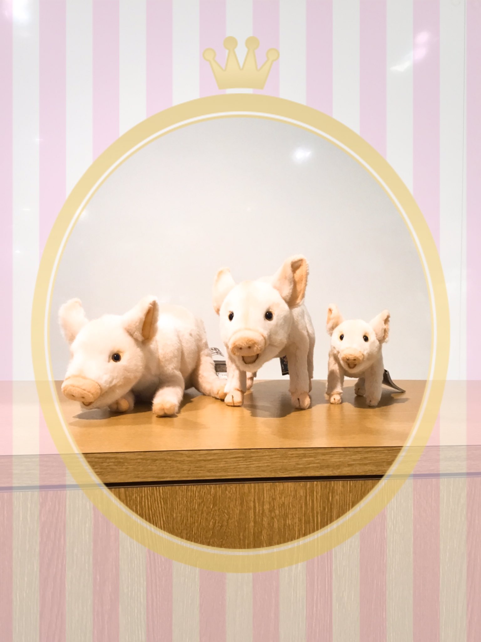 自信が溢れる豚さん ぶた ぬいぐるみ ハンドメイド 海外作家様 
